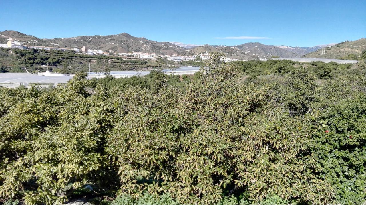 Casa Paloma Blanca Villa Malaga Bagian luar foto